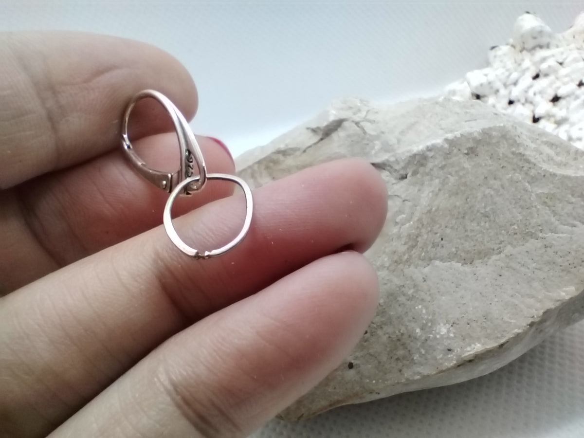 Sidabriniai auskarai Mini